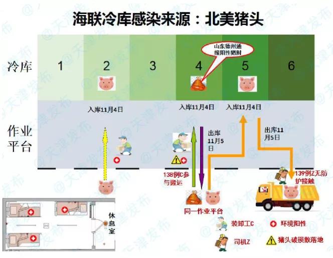 確定了！天津海聯(lián)冷庫感染來源為北美豬頭 | 浦東東航物流貨站通知