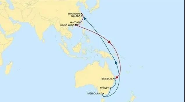 寧波上海香港鹽田直航澳洲，地中海航運(yùn)推出全新大洋洲航線(xiàn)